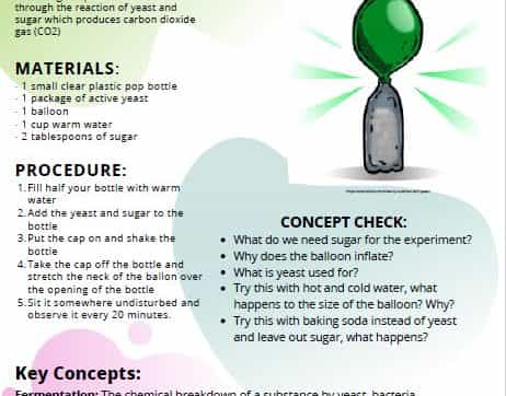 STEM at Home Activities